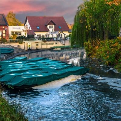 永盈会手机版app下载